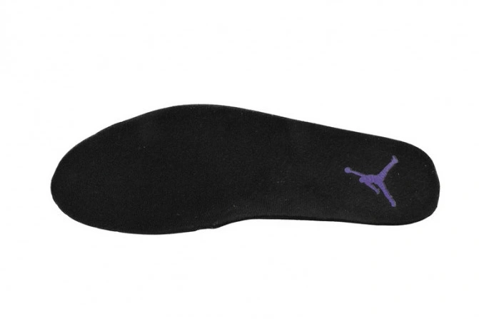 Rep TBkick Jordan Retro Field Air Purple CT8013-057 12 0731